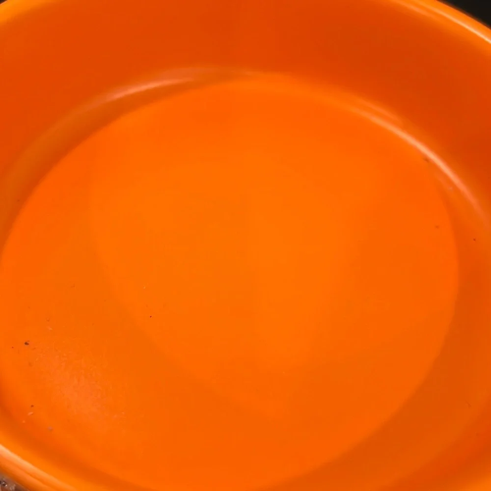 👻 Small Pet Bowl HEY BOO Food & Water Dish 5” H x 1.5” D Matte Orange Black LL
